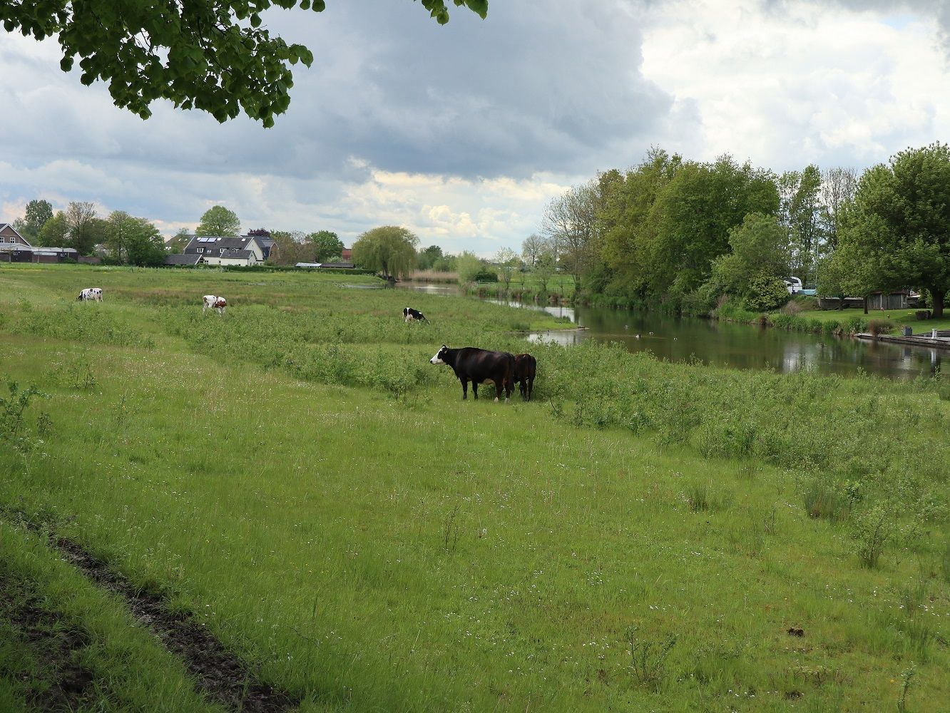 De landbouw in het Kromme Rijngebied door de eeuwen heen